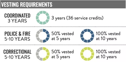 Vesting requirements by plan